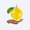 luckylemonssea